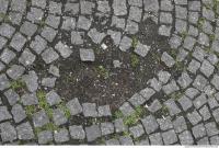 floor stones overgrown 0002